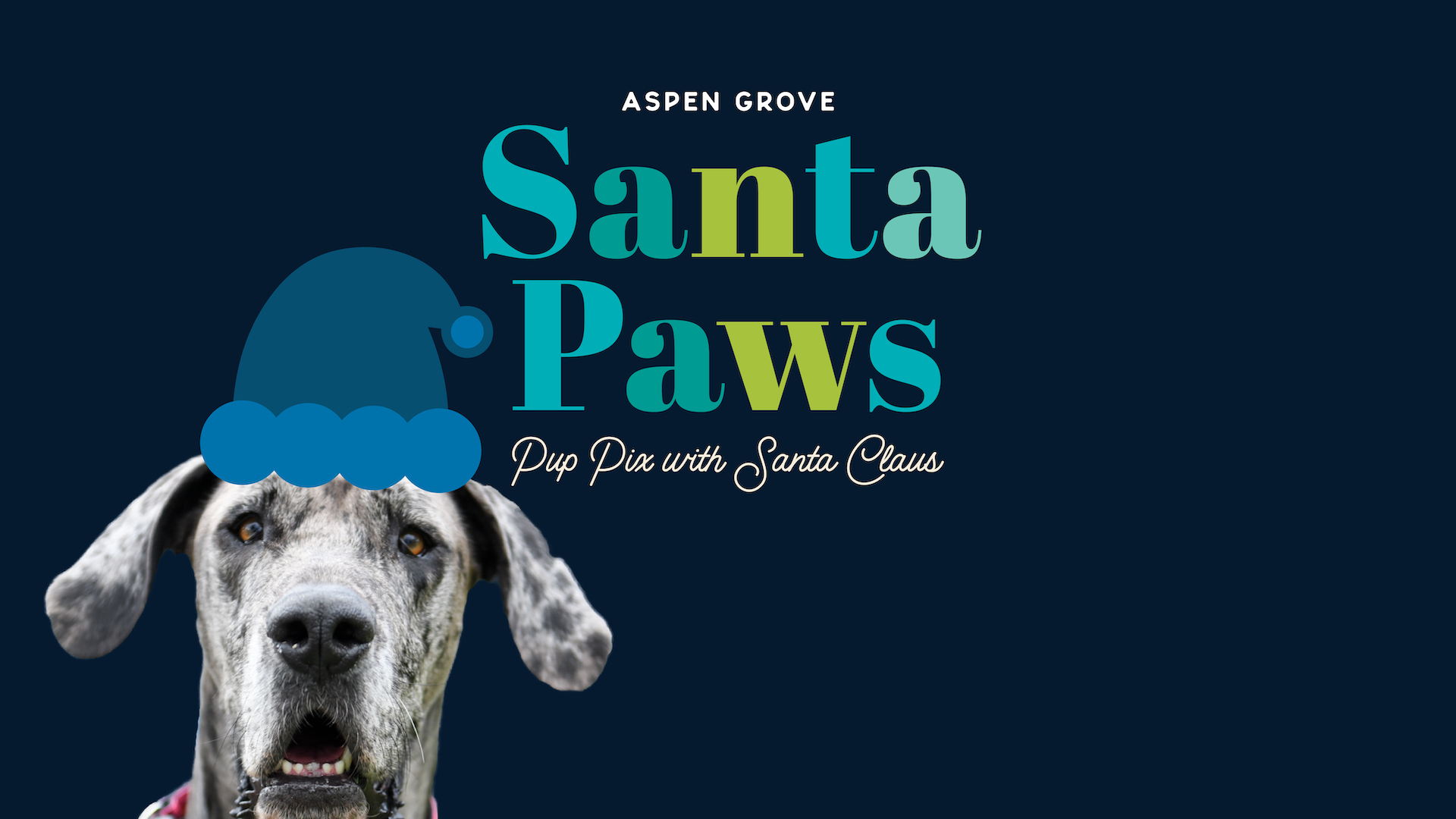 Aspen Grove Littleton CO