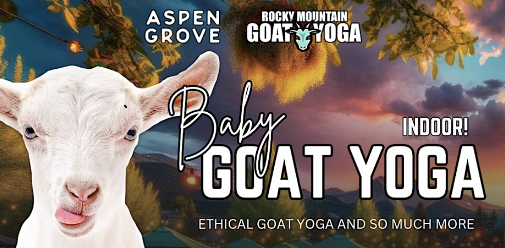 Baby Goat Yoga