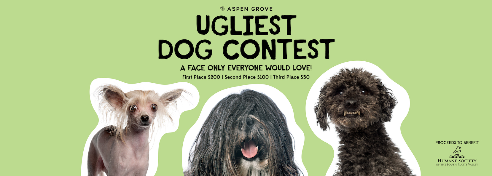 1st Annual Ugliest Dog Contest