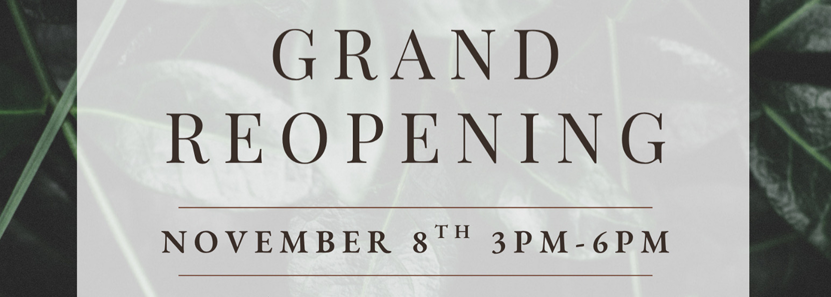 Avalon Salon & Spa Grand ReOpening