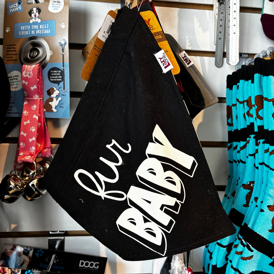 photo seasonal event